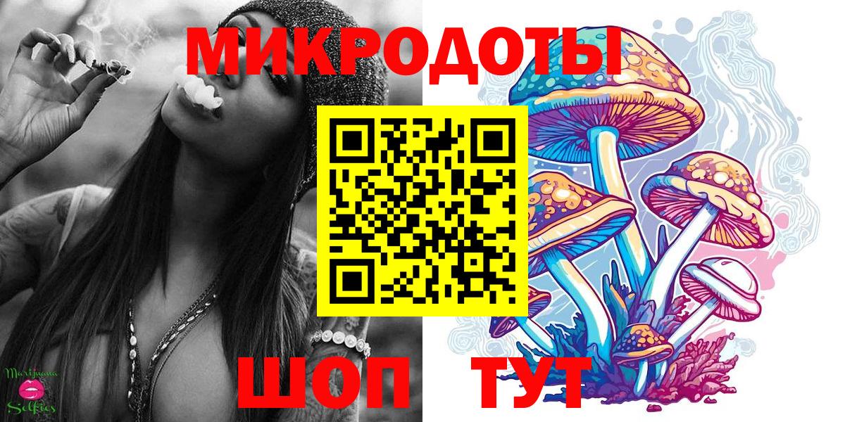 Галлюциногенные грибы Psilocybe Карасук